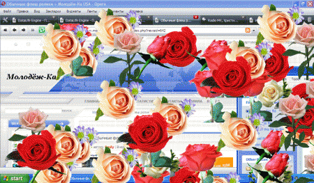 Многочисленные цветы на экране flowers